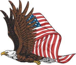 Patriotic Eagle USA Soaring Eagle Bird of Prey America Self Adhesive Sticker