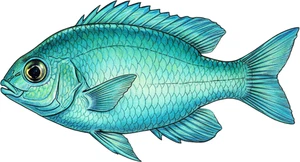 Blue Green Chromis Fish Self Adhesive Vinyl Sticker